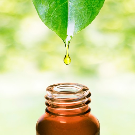 TEA TREE OIL 20ml TEA TREE OIL