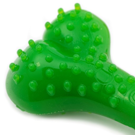 Pohodlná žuvacia kosť pre psa Dental Bone Mint, zelená, 12,5 cm