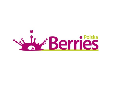 BIO sušené čierne ríbezle - celé bio ovocie