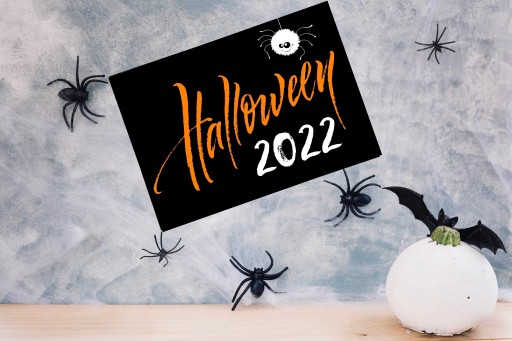 HALLOWEENSKÝ BANNER PLAGÁT Vzor pavúka