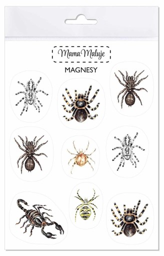 ARACHNIDOVÉ MAGNETY