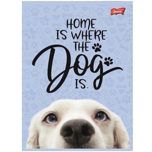 A5 TROJRIADKOVÝ FAREBNÝ ZÁPISNÍK, 16 STR. LAMINOVANÝ DOG DOG MIX UNIPAP