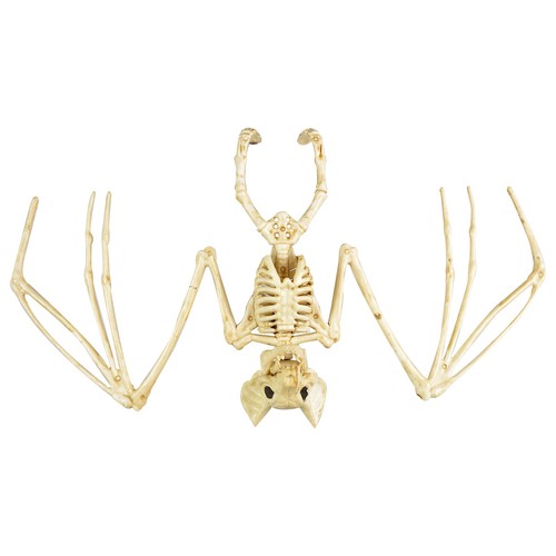 Halloweenska dekorácia Kostra netopiera