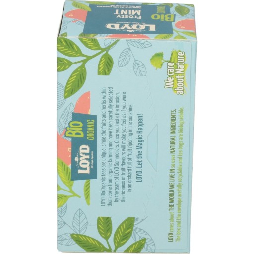 Organický bylinkový expresný čaj BIO Peppermint Spearmint LOYD
