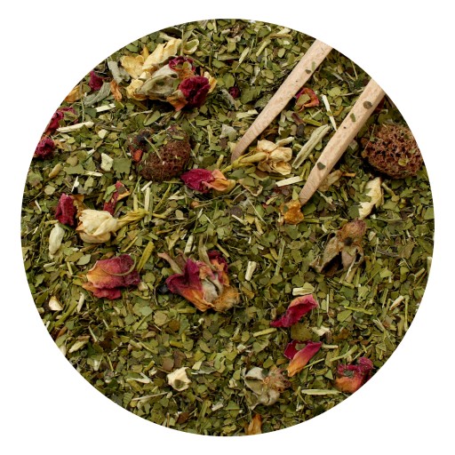 Yerba Mate Green Flor De Limonero 50g Plant Power