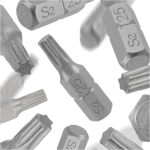 TORX T25x25 SKRUTKOVACÍ BIT 1 KS