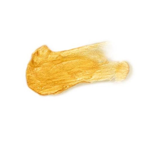 Secret Play Pretty But Wild Illuminating Oil