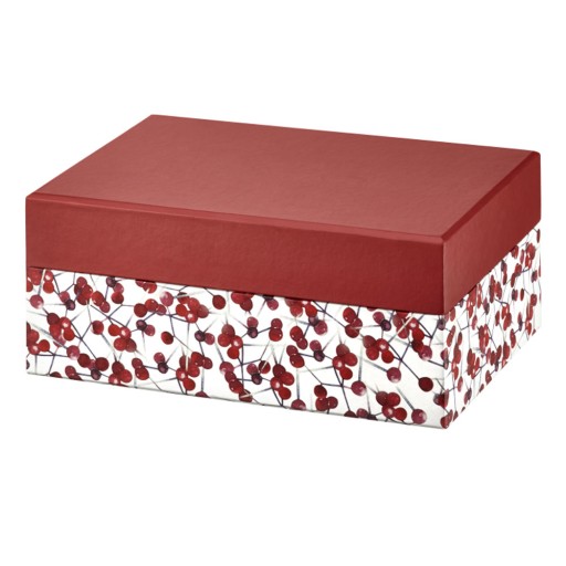 66141 Look Holly box so zrkadlom 18 x 11 x 7,5 cm AMBITION