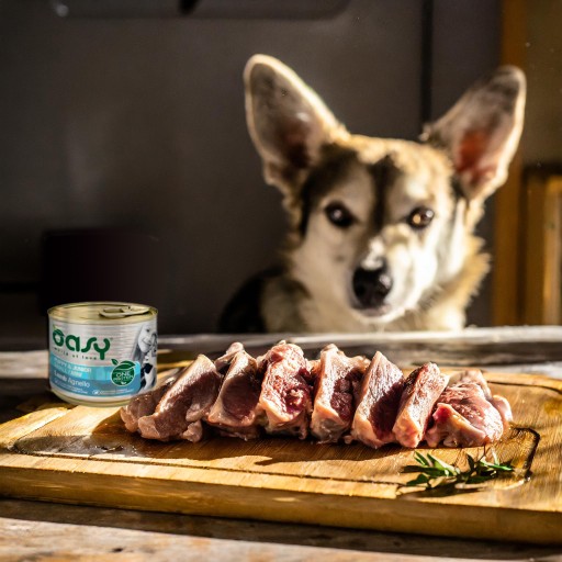 Oasy One Protein Puppy mini lamb mokré krmivo pre psov 200g