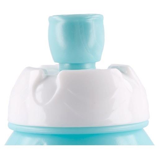 Športová fľaša na vodu Frozen II 400 ml