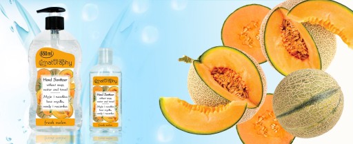 Voňavý antibakteriálny gél na ruky - melón 100 ml