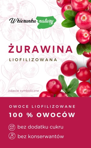 BRUSNICE SUŠENÉ MRAZOM 20 g CELÉ prírodné OVOCIE BEZ PRÍDAVNÝCH LÁTOK