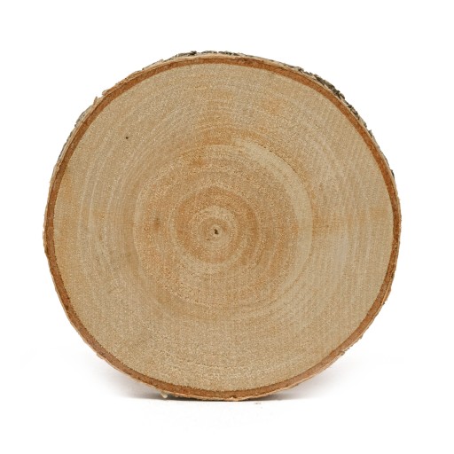 Drevený plátok, 8-10 cm plátok, na ozdobu
