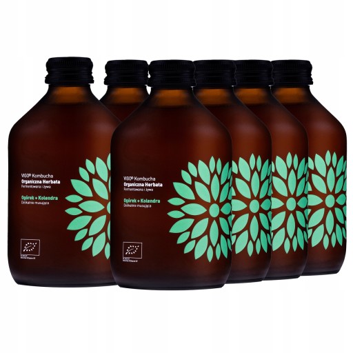Kombucha uhorka + koriander BIO 330ml