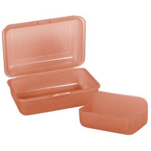 Pomarančový obedový box