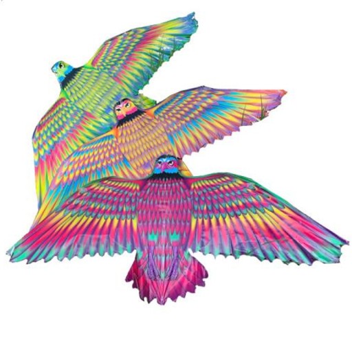 KITE BIRD 4050