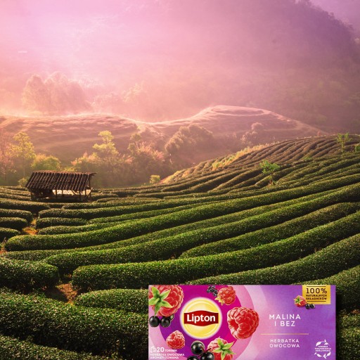 Lipton Malina a Baza expres ovocný čaj 20 sáčkov 32g