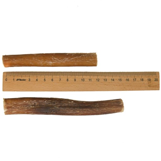15 cm Sušený prírodný hovädzí penis pre psov, pochúťka na žuvanie