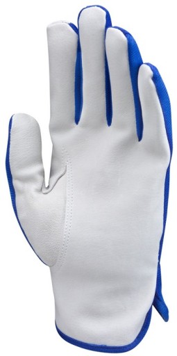 Ochranné pracovné rukavice z kozej kože COVERGUARD EUROSTRONG 820 r.9|L