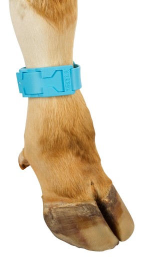 Plastový identifikačný pásik, 37 cm, modrý