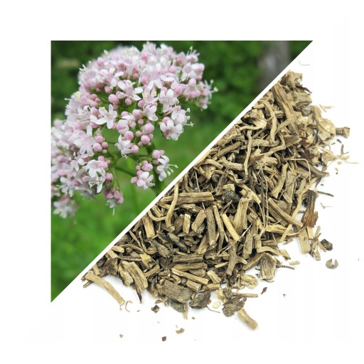 koreň valeriány 50 g - Lublinský herbár