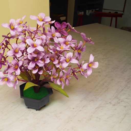 UMELÉ KVETY V KVETINÁME ORCHIDEJ
