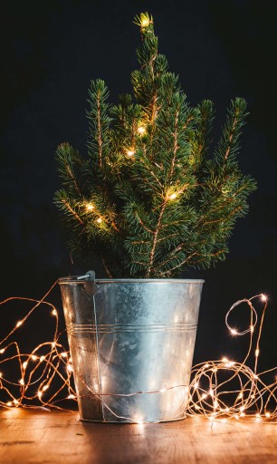 DRÔTOVÉ LAMPY 10LED TEPLÉ BIELE MIRKO STRUNOVÉ SVIETIDLÁ SVETLO NA BATÉRIU