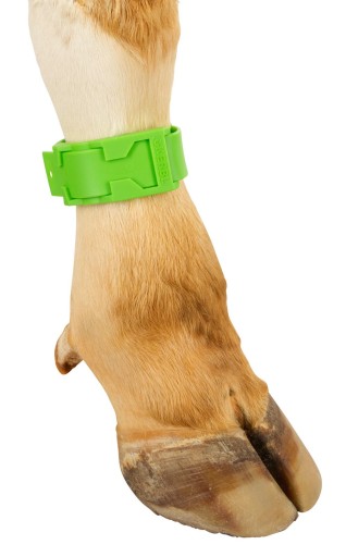 Plastový identifikačný náramok, 37 cm, zelený