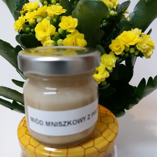 Púpavový med s propolisom ABC ZDRAVIA Z PRÍRODY