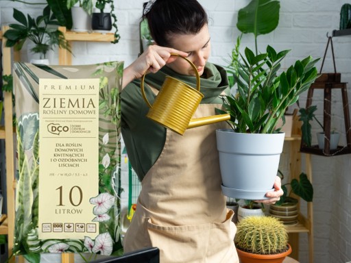PREMIUM PÔDA pre rastliny v črepníkoch MONSTERY PALM JUK ZAMIOKULKASA 10L