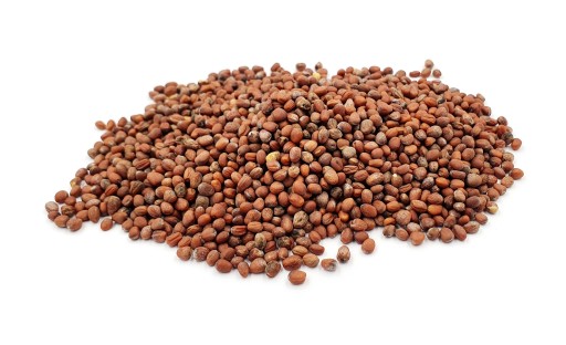 SEMIENKA PRE KLÍČKY REĎKOVKY, ZELENINA 20G BAVICCHI