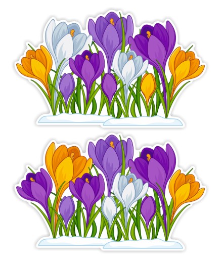 Jarná dekorácia na okná CROcuses (obojstranné)