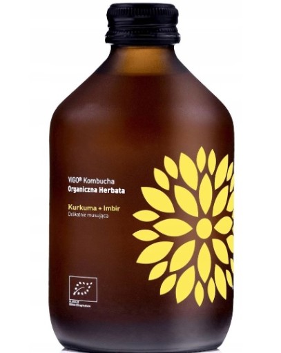 Kombucha Vigo Kurkuma + Zázvor 330 ml