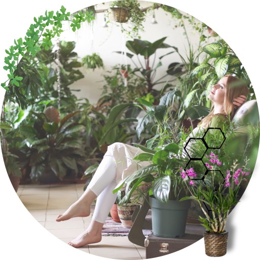 PODPORKA pre rastliny MODULÁRNA kvetinová podpera 58cm sada x2 pre monstera hoi