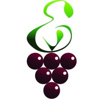 EXCLUVIN Sommelier čašnícka vývrtka, 3-funkčná, biela