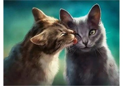 DIAMANTOVÁ MOZAIKA KREATÍVNA VÝŠIVKA CAT LOVE 30X40 CM
