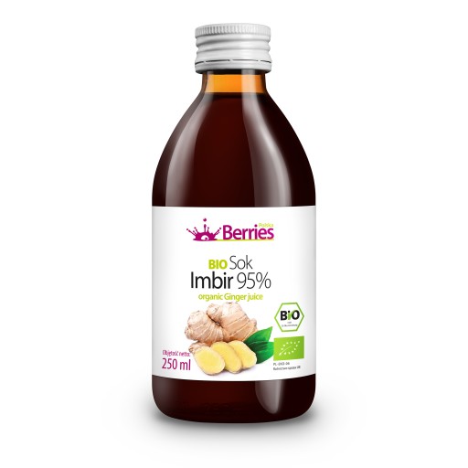 BIO zázvorová šťava 95% BIO zázvorová šťava 250ml