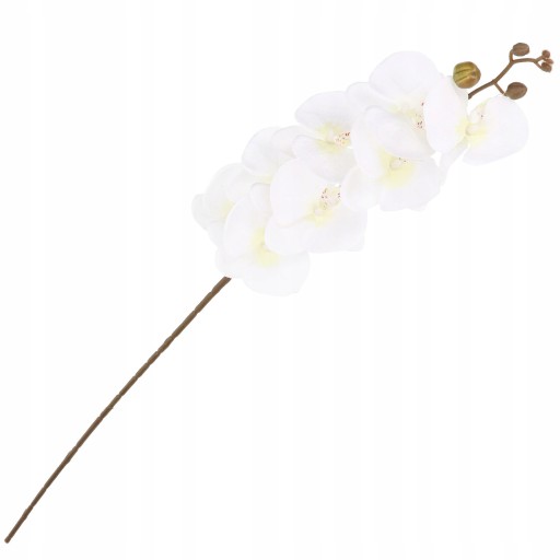 ORCHIDEA ORCHIDEA Vetvička LIVING QUALITY 90cm
