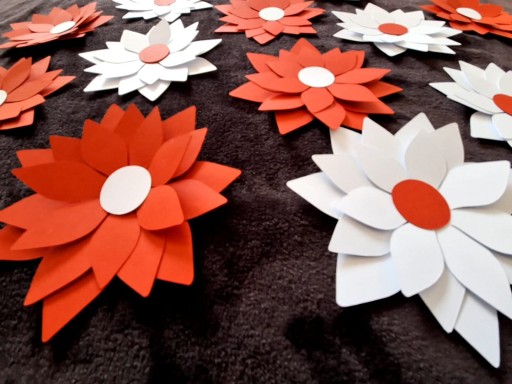 3D kvety Ústava ku dňu matiek na okne, tabuli, závese, škole