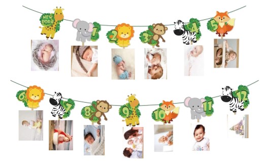 FOTOrámik BANNER 12 mesiacov ROK STARÉ SAFARI