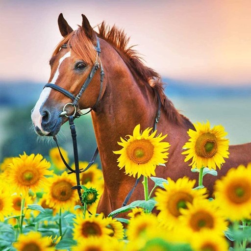 Diamantové vyšívanie HORSE Diamantová mozaika odrezaná DIAMANTOVÁ MALBA 5D Obrázok