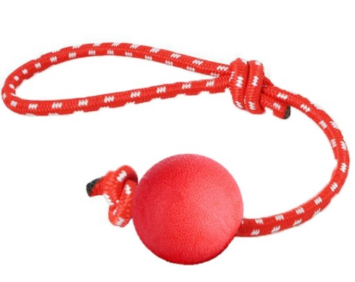 Gumená loptička, výcviková hračka pre psa NA Šnúrke, veľkosť aportu. S