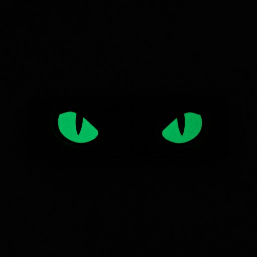 NÁŠPISKA CAT EYES CAT EYES TYP 2 LASEROM REZANÝ VELCRO SVIETEĽNÝ M-TAC ČIERNA