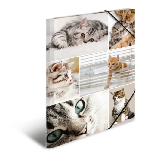 Kartónová zložka A3 s gumičkami, Cats
