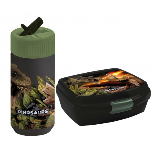 Detská fľaša na vodu Dinosauria fľaša pre chlapcov 330 ml