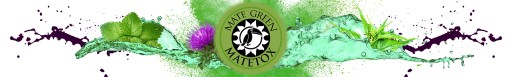 Yerba Mate Green MATETOX Herbal Power Energy 200 g sin 0,2 kg Despalada