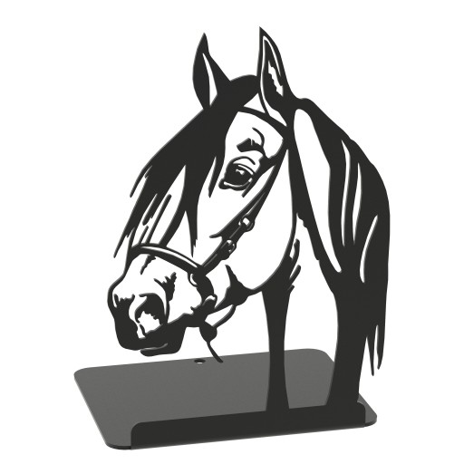 Podpora kníh Knižničná škola HORSE
