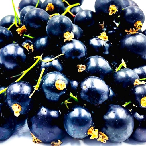 Sirup na sódu FruttaMax ríbezľový karbonizátor 500 ml na 12 l