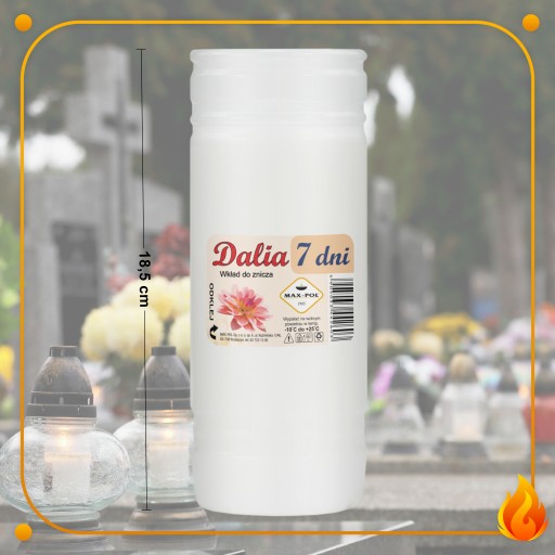 Vložka do sviečky Dalia 7, parafín, 1 ks