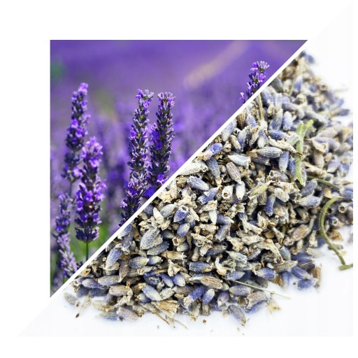 KVET LEVANDUĽA LEVANDUĽA 50 G - LUBLINSKÝ HERBARIAN